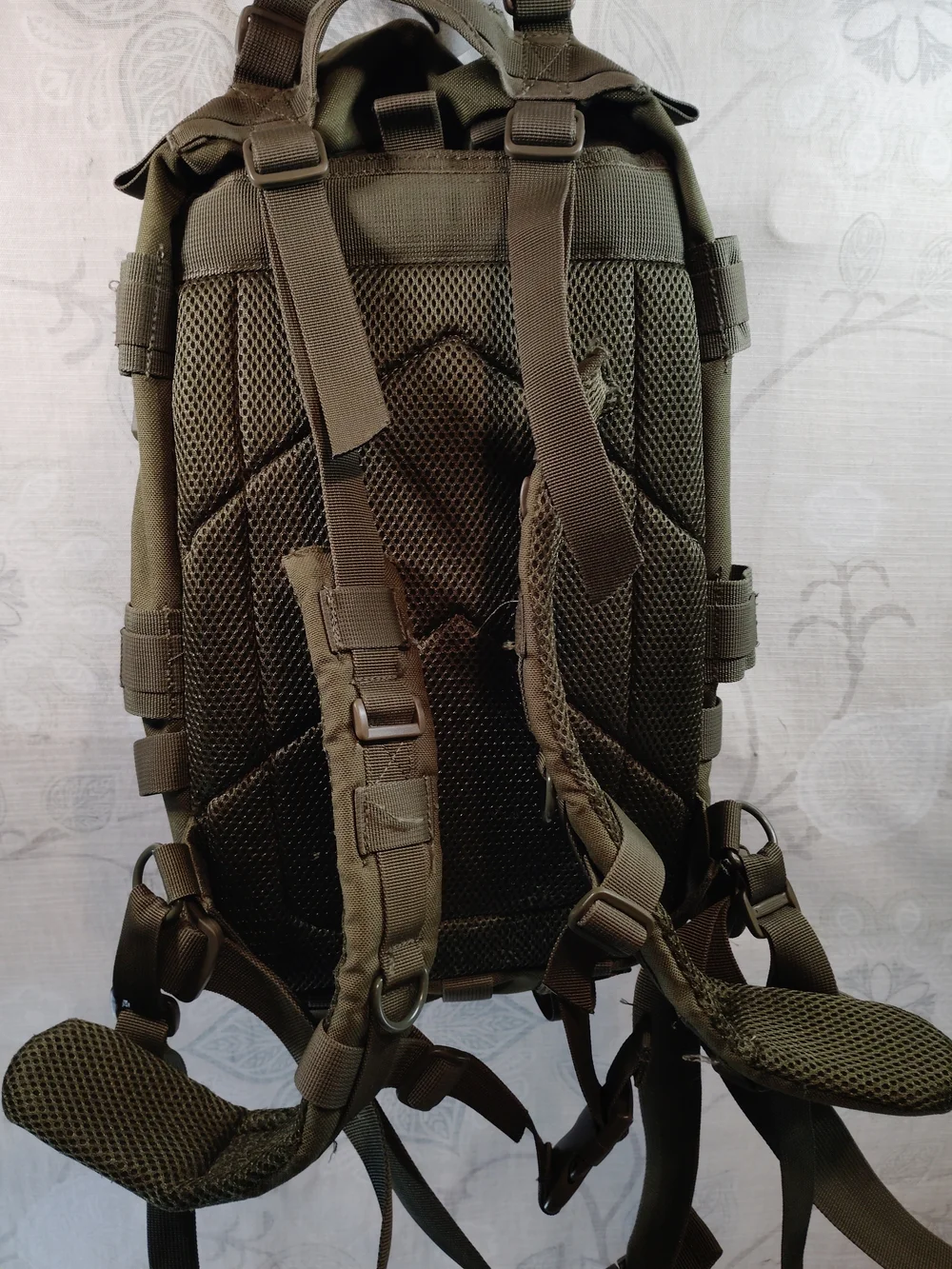 Condor rugged olive